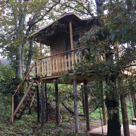 Вилла Palheiro Do Vale Do Paiva Cabril  Экстерьер фото